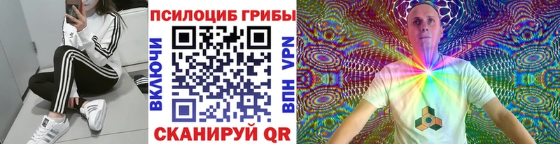 Галлюциногенные грибы Psilocybe Буйнакск